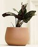 Purezento Mesa Terracotta Planter-Rose Gold