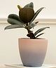 Purezento Smoky Terracotta Planter Light - Purple
