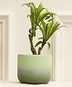 Purezento Smoky Terracotta Planter - Green