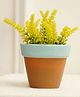Purezento Tiny Terracotta Planter - Blue
