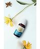 House of Aroma  Meditation Fragrance Oil 10 ml