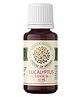 House of Aroma  Eucalyptus Essential Oil - 10 ml