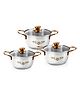 Wonderchef Gold Stanton Stainless Steel 3 Piece Casserole Set with Glass Lid