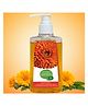 Omeo Calendula Handwash-500ml Germ Protection Moisturizing Anti Bacterial Skincare Hand Wash Bottle with Dispenser