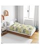 Divine Casa 100% Cotton Single Kids Dohar Blanket For Toddler Green and Blue