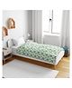 Divine Casa 100% Cotton Single Kids Dohar Blanket For Toddler Tree Green