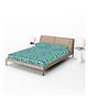 Divine Casa 100% Cotton 144 TC Cotton Floral Pattern Elastic Fitted Bedsheet Double Size with 2 Pillow Covers - Blue & Yellow