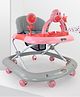 Dash Dora Baby Foldable Walker with Rattles Music & Adjustable Height Activity Walker - Pink