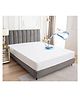 RRC Water Proof Terry Cloth Fitted Mattress Protector 60 x78 Inch for Queen Size Bed  White