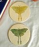 Aranya Earthcraft Hand Block Printed Moth Papier Mache Coasters - Set of 4