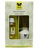 Iris Homefragrances  Reed Diffuser With Ceramic Pot 6 Reed Sticks and 60 ml Oil- Fragrance Lemon Grass