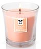 Iris Home Fragrances Musk Elixir Taper Jar Candle 110 g - Pack of 2