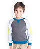 Cherry Crumble By Nitt Hyman Raglan Full Sleeves Color Blocked Sporty Sweatshirt - Grey