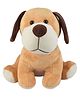 Frantic 25 cm Quality Soft Romeo Brown Dog Soft Toy For Kids