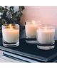 Parkash Candles Set of 3 Scented Votive Glass Candles - Berry Blast