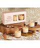 Parkash Candles Set of 3 Scented Votive Glass Candles - Oud Wood