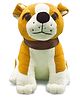 Goldenhub Raja Dog -25 Cm