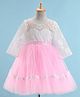 Bluebell Woven Net Full Sleeves Party Dresses With Floral Embroidered - Pink