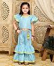 Saka Designs By Sapna Half Frill Sleeves Ethnic Motif Foil Printed Top And Sharara -  Sky Blue & Gold