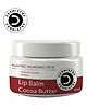 Dermistry Plumping Nourishing Lip Balm Cocoa Butter for Dry & Chapped  Lips Retinol & Isoflavones & SPF 10 24 Hrs Moisturization- 15 ml