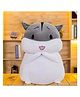 Lattice Plush Cute Hamster Soft Toy Ragdoll Doll Big Pillow Girl Sleeping Bed Cute Girl Birthday Gift for Kids 35 cm- Color May Vary