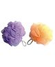 Babila Classic Sponge (2 Pcs. Set)-BA-V032 Multicolour