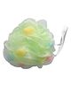 Babila Soft Raspberry Sponge-BA-V034 Multicolour