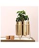 Manor House Waves Golden Metal Planter with Stand