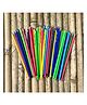 Sow and Grow Eco Friendly Plantable Seed Diary and 5 Seed Pencils - Combo Pack