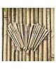 Sow and Grow Eco Friendly Plantable Seed Diary and 5 Seed Pens - Combo Pack