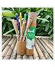Sow and Grow Plantable 4 Seed Pencils and 4 Seed Paper Pens in a Reusable Stationary Box - Pack of 8