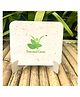 Sow and Grow Plantable Calendar 2023 - White
