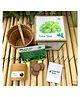 Sow and Grow DIY Gardening Kit - Italian Basil Genovese