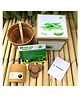 Sow and Grow DIY Gardening Kit - Peas