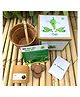 Sow and Grow DIY Gardening Kit - Chilli