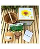 Sow and Grow DIY Gardening Kit - Sunflower