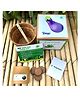 Sow and Grow DIY Gardening Kit - Brinjal