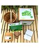 Sow and Grow DIY Gardening Kit - Oregano