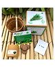 Sow and Grow DIY Gardening Kit - Thyme