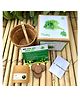 Sow and Grow DIY Gardening Kit - Parsley
