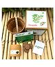 Sow and Grow DIY Gardening Kit - Ashwagandha