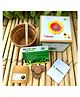 Sow and Grow DIY Gardening Kit - Gaillardia