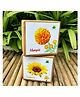 Sow and Grow DIY Gardening Flower Kits - Marigold and Sunflower