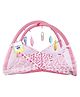 Toddylon Baby Bedding Set Mattress with Mosquito Net New Born Bed -  Pink