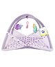 Toddylon Baby Bedding Set Mattress with Mosquito Net New Born Bed -  Purple