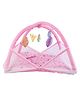 Toddylon Baby Bedding Set Mattress with Mosquito Net New Born Bed -  Pink