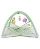 Toddylon Baby Bedding Set Mattress with Mosquito Net New Born Bed -  Green