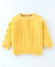 Yellow Apple Knitted Full Sleeves Pullover With Cable  Knit Design - Yellow