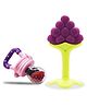 Chinmay Kids Baby Fruit Shape Teether & Soother Soft Stick Dental Care BPA- Free Pack of 2 Teether - Purple Pink