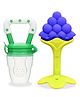 Chinmay Kids Baby Fruit Shape Teether & Soother Soft Stick Dental Care BPA- Free Pack of 2 Teether  - Light Blue Green